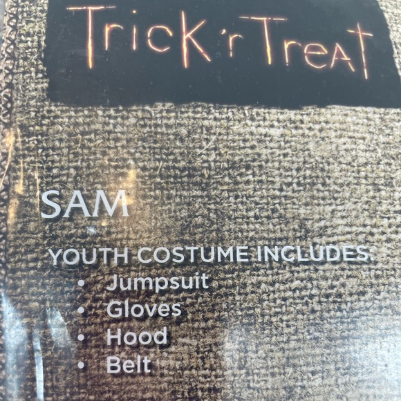 Kids Size XL 14/16 SAM Costume - Picture 3 of 3